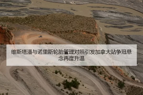 维斯塔潘与诺里斯轮胎管理对照引发加拿大站争冠悬念再度升温
