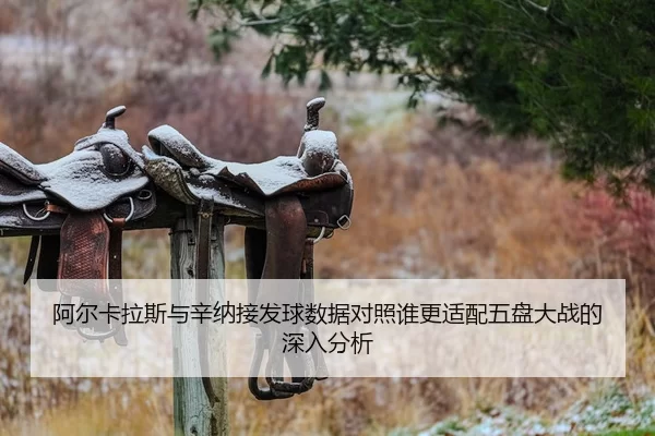 a-er-ka-la-si-yu-xin-na-jie-fa-qiu-shu-ju-dui-zhao-shui-geng-shi-pei-wu-pan-da-zhan-de-shen-ru-fen-xi-2-744.jpg