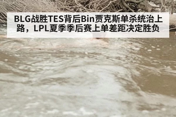 BLG战胜TES背后Bin贾克斯单杀统治上路,LPL夏季季后赛上单差距决定胜负